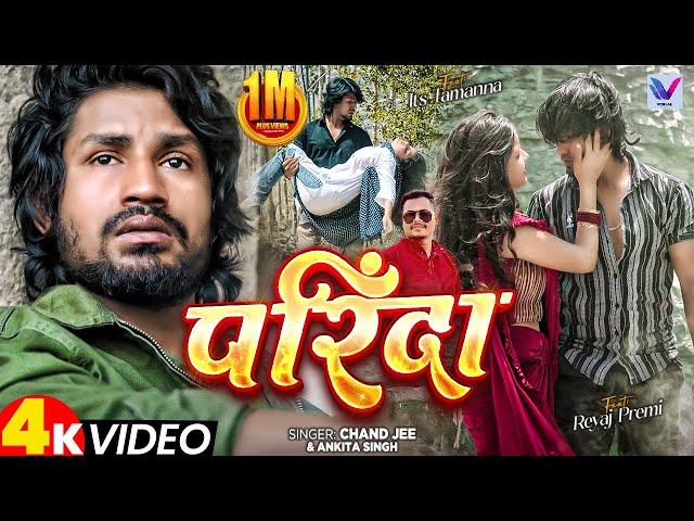 #Video - परिंदा | Ft. #Reyaj_Premi | Parinda | #Chand_Jee | #Ankita_Singh | New Sad Video Song 2024