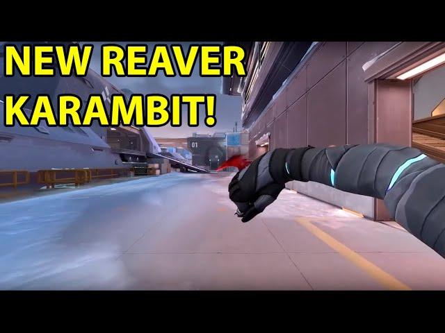 NEW REAVER 2 0 KARAMBIT | All Color Variants and there Animation | Valorant highlights | CatJett |