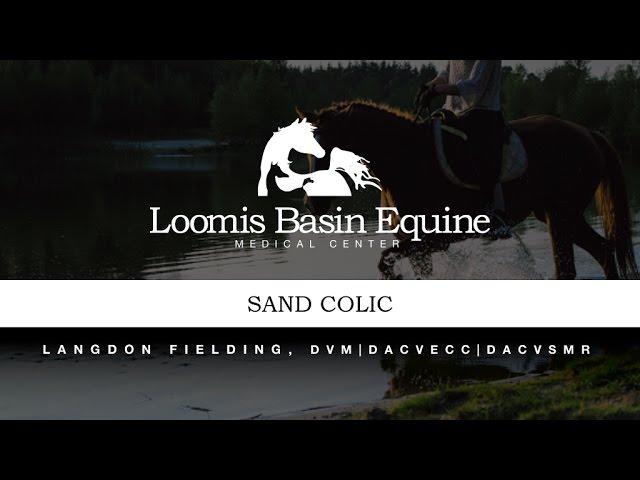 Equine Sand Colic Signs & Symptoms, Diagnosis, and Treatment