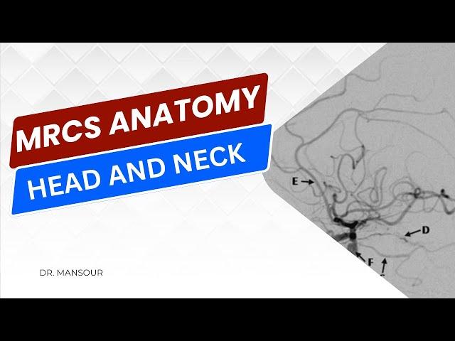 Head and Neck Anatomy Lesson | MRCS part B