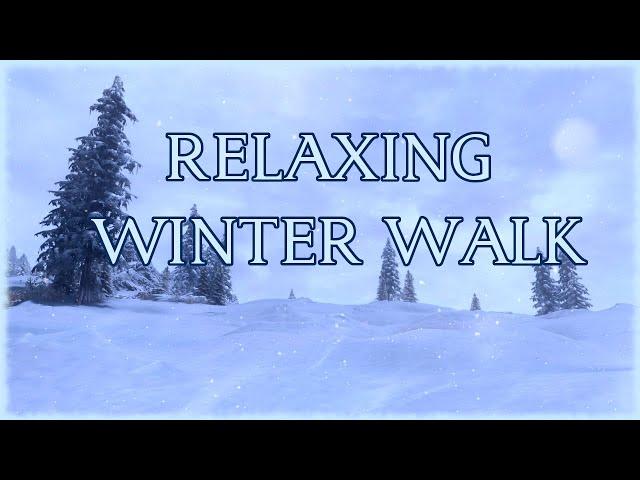 Skyrim Relaxing Winter Walk  4k