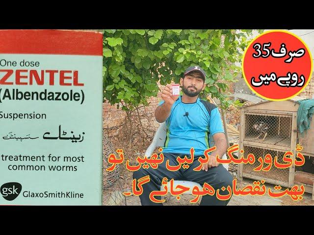 Deworming kaise kre |Murgion me Deworming ka Tarika | Albendazole Uses By Aamir