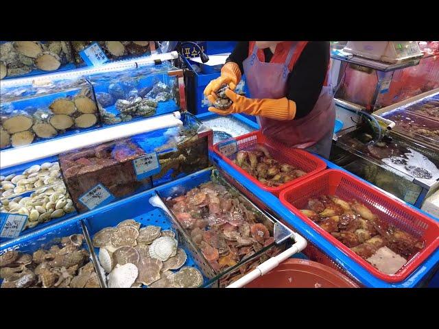 KOREA SEAFOOD MARKET! Where to eat affordable and fresh seafood in Korea?