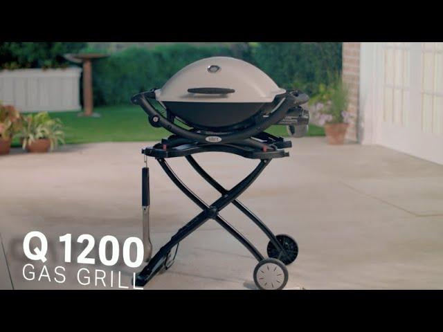 Q 1200 Gas Grill, Titanium | Weber Grills