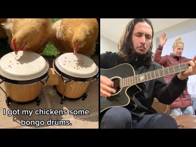 Bongo Chickens x The Kiffness