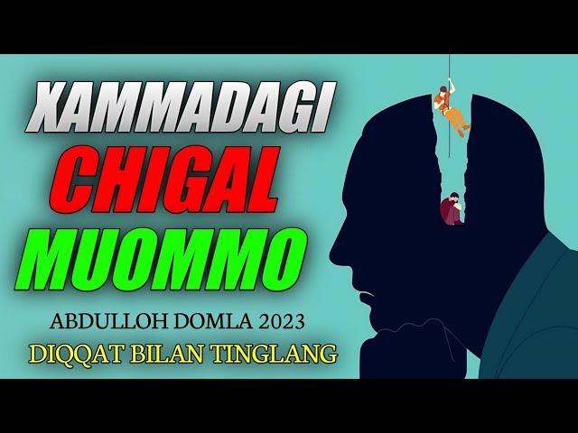 Хаммада учрайдиган муаммо! °Абдуллох Домла 2023°Abdulloh Domla 2023°Янги маъруза #abdullohdomla