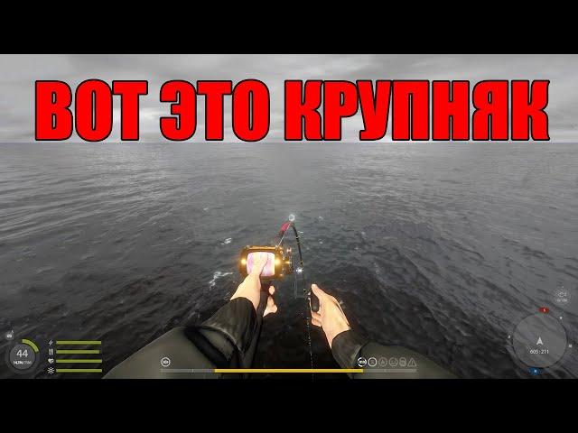 Как вываживать большую рыбу на норвежском море? рр4