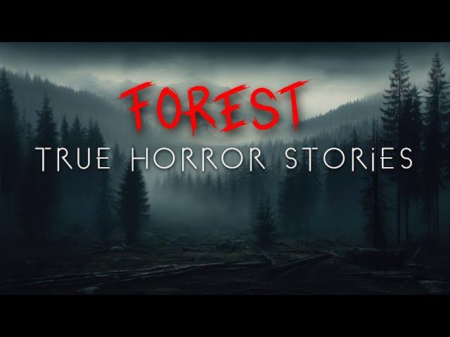 3 Unnerving Forest Hiking & Camping Horror Stories