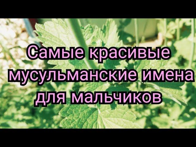 САМЫЕ КРАСИВЫЕ МУСУЛЬМАНСКИЕ ИМЕНА ДЛЯ МАЛЬЧИКОВ 