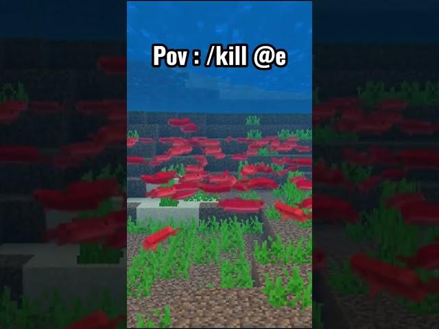 Pov : /kill @e  #minecraftmemes