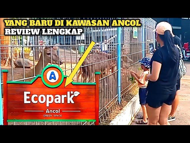 ECOPARK ANCOL || YANG BARU DI KAWASAN ANCOL || ASYIK BANGET BUAT JOGGING