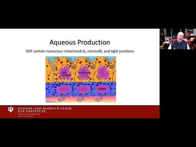 Lecture: Glaucoma, Back to Basics: Aqueous Humor Dynamics, IOP & the Anterior Chamber Angle