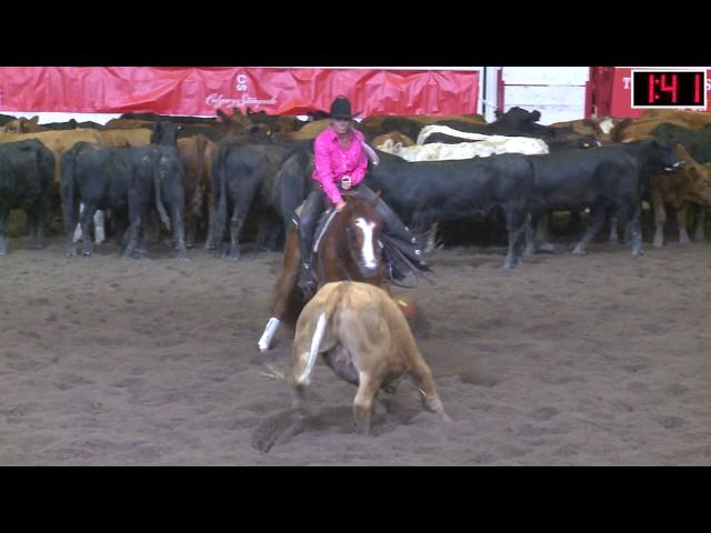 2017 Calgary Stampede Cutting Horse Competition Non Pro Champion