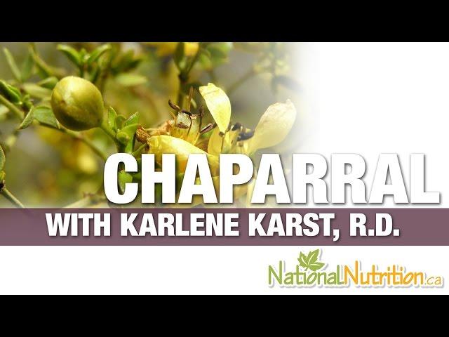 Chaparral - Natural Blood Cleanser - Professional Supplement Review | National Nutrition