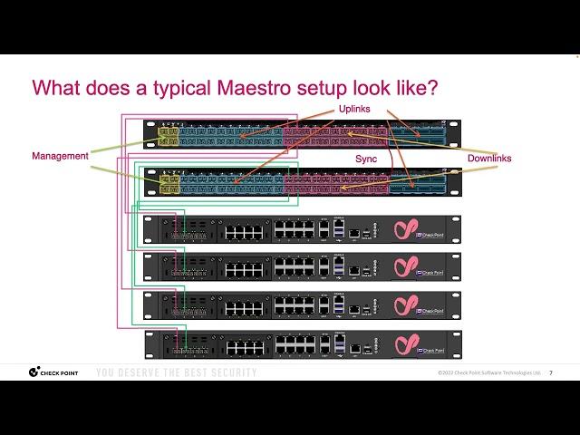 Tips and Tricks 2023 #5 - Maestro: Getting Started for New Deployments