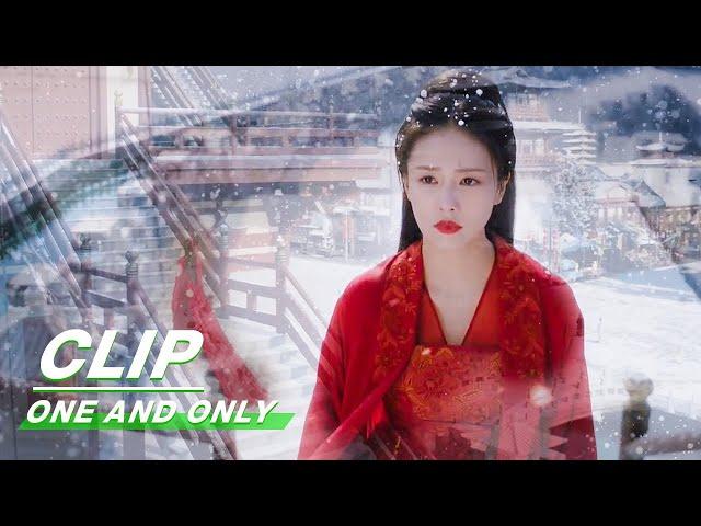 Clip: There Is No Cui Shiyi Any More [The End] | One And Only EP24 | 周生如故 | iQIYI