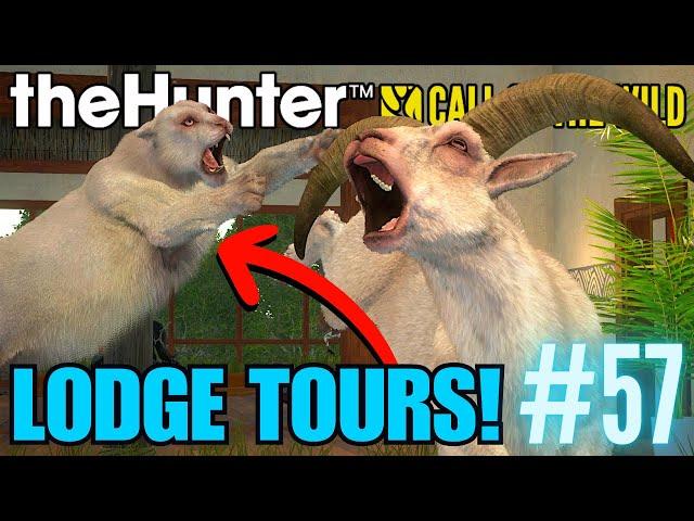 Our First Time EVER Seeing This INSANE RARE!! Sundarpatan Trophy Lodge Tours! | Call of the Wild