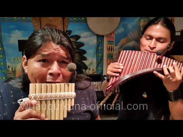 голубь - La Paloma - Instrumental - Panflute and Zampońa - Wuauquikuna