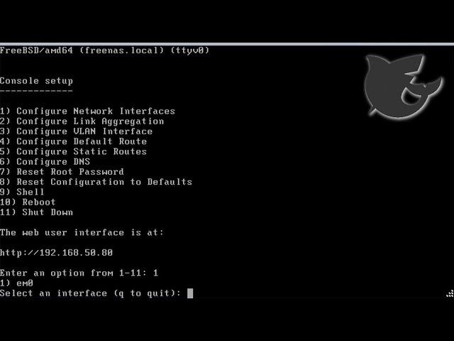 ESXi on Gen8 - FreeNAS setup