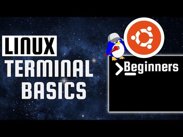 Linux Terminal Basics | Navigate the File System on Ubuntu