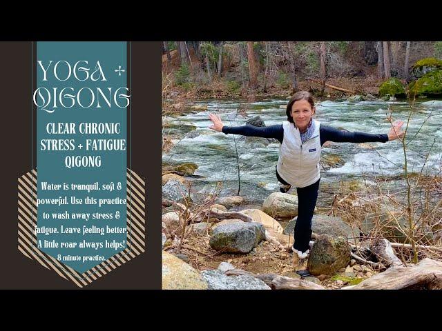 8 min / Clear Chronic Stress + Fatigue / Tiger  Qigong