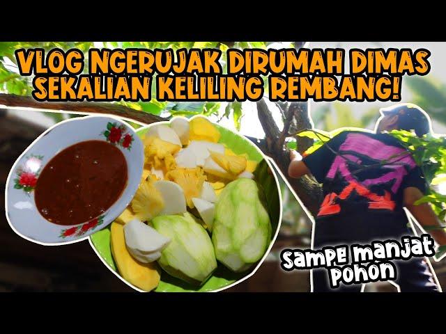 VLOG GABUT DIRUMAH BANG DIMAS SAMBIL NGERUJAK!! 