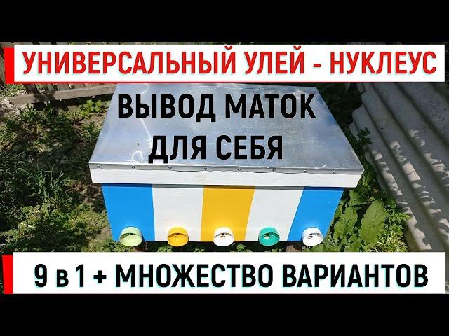 Универсальный УЛЕЙ - НУКЛЕУС. 9 в 1. Вывод маток и зимовка запасных...