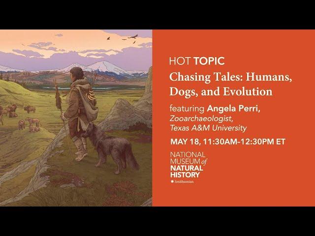 HOT (Human Origins Today) Topic – Chasing Tales: Humans, Dogs, and Evolution