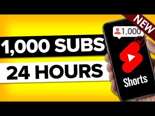 How To Get 1000 Subscribers on YouTube in 24 Hours (REAL PROOF)