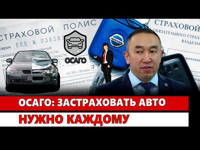 ОСАГО: Застраховать авто нужно каждому