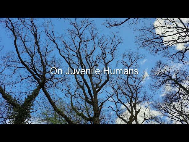 On Juvenile Humans: My Experience Teaching Children