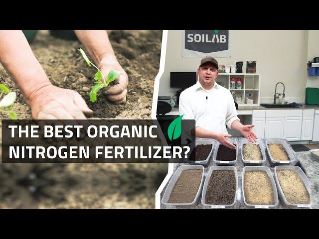 What Is The Best Organic Nitrogen Fertilizer?