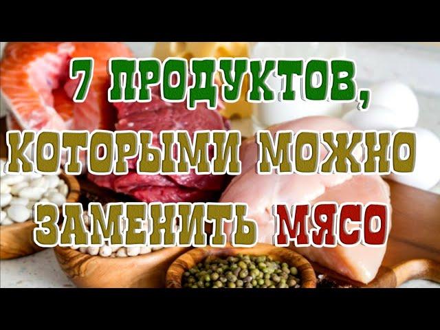  7 ПРОДУКТОВ, КОТОРЫМИ МОЖНО ЗАМЕНИТЬ МЯСО  Замены мяса и восстановления здоровья