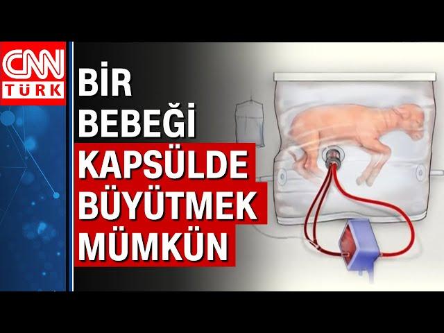 Hamilelik tarih mi oluyor? Kapsül rahimde 120 günde 8 kuzu yetiştirildi