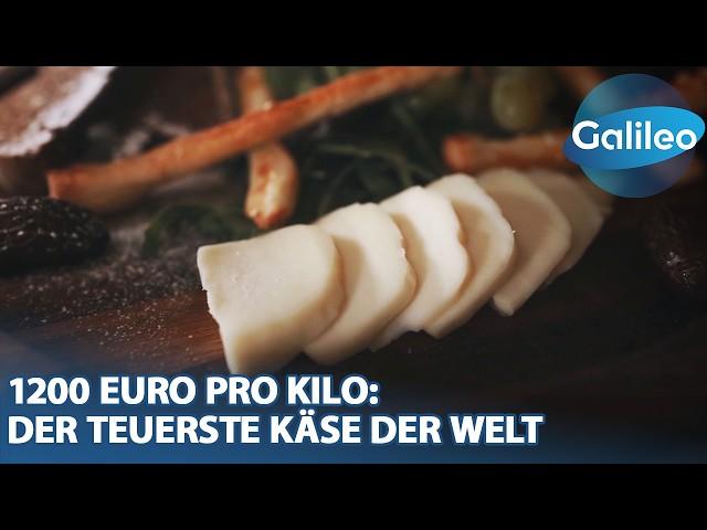 1200 Euro pro Kilo: Die Geheimnisse des teuersten Käse der Welt