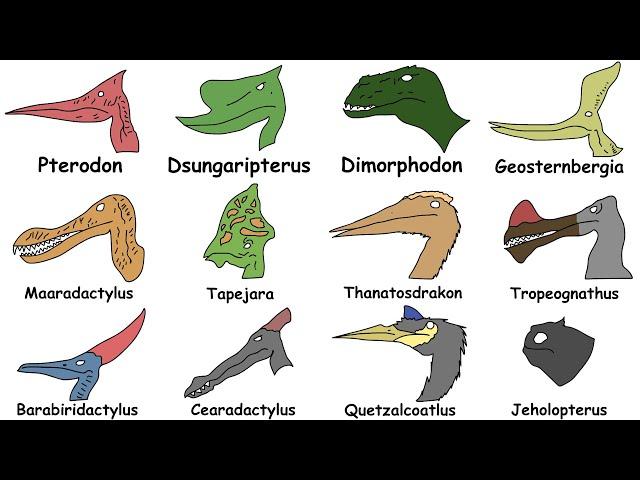 Every Pterosaur Explained in 4 minutes