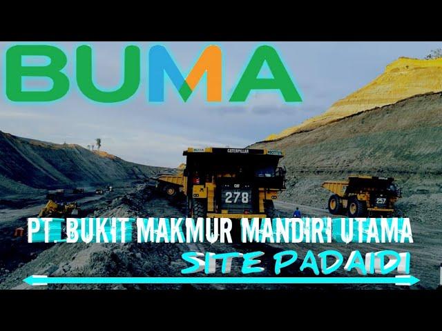 BUMA Coal Mining Contractor Indonesia | Site Padaidi