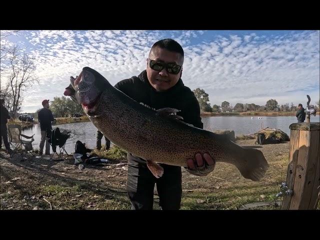 7lbs trout caught at Lake Camanche south shore pond with Notorious Custom Jigs stickbait.