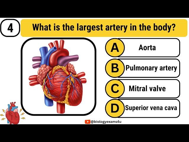 Quiz on Heart || Interactive MCQ on Human Heart || 20 Heart Questions, Answers and Explanation