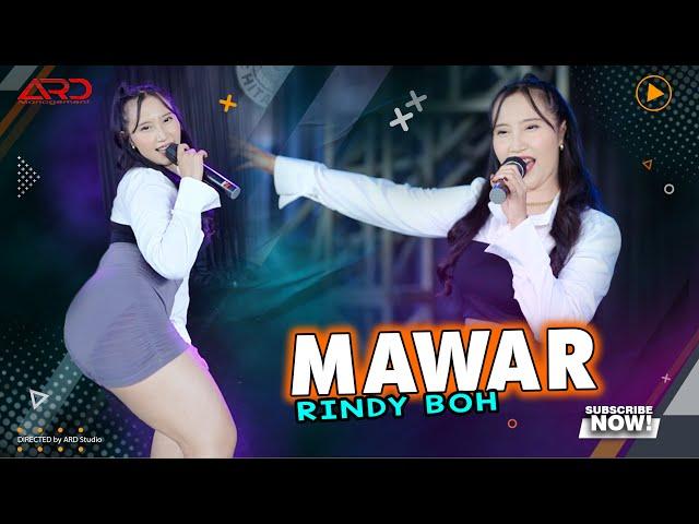 Ubur Ubur Ikan Lele Live - Mawar - Rindy BOH (Official Music Video)