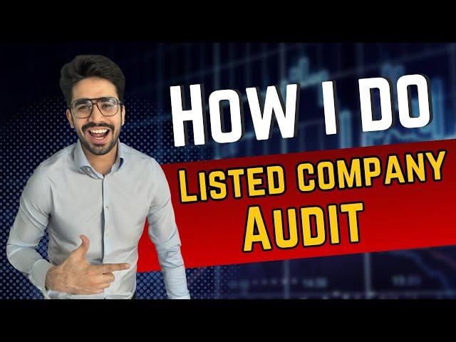How I do Listed Company Audit | Process of Statutory Audit in Big 4 firm