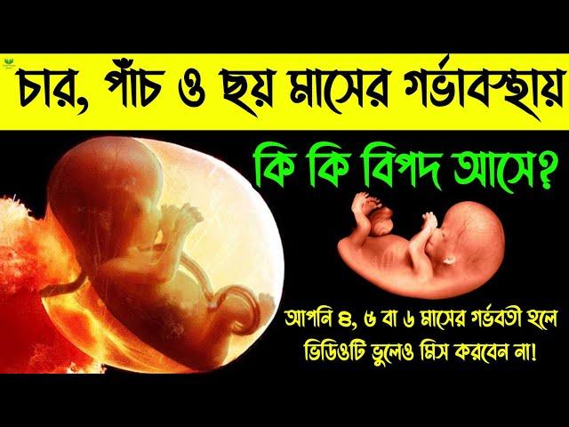 চার, পাঁচ ও ছয় মাসের গর্ভবতীদের জন্য সবচেয়ে জরুরী ভিডিও || গর্ভাবস্থার মাঝের ৩ মাসে কি কি বিপদ আসে?