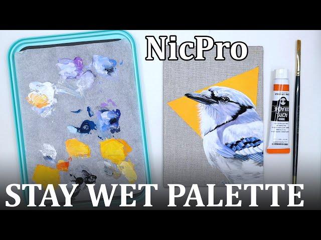 Reviewing the NicPro STAY WET PALETTE // Acrylic gouache painting demo