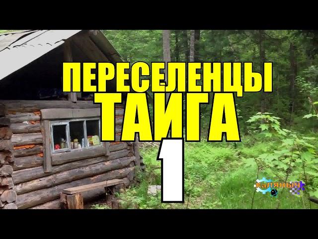 ПЕРЕСЕЛЕНЦЫ В ТАЙГЕ | КАТОРГА САХАЛИН | ССЫЛКА В СИБИРИ | СУДЬБА ЧЕЛОВЕКА | ДЕРЕВНЯ В ЛЕСУ 1