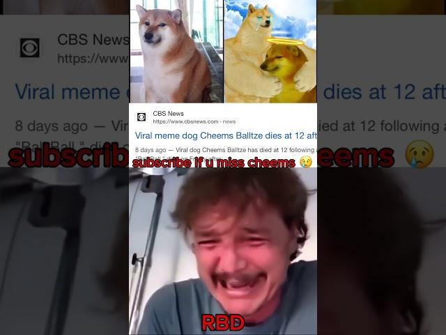 RIP Cheems  #shorts  #sad  #cheems #doge #viral #edit