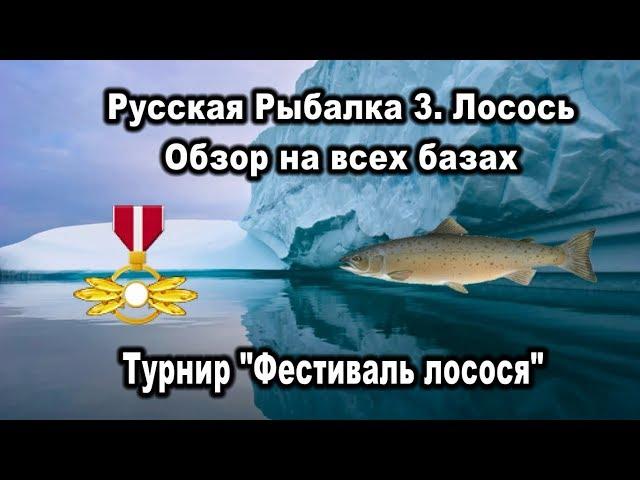 РР3. Лосось. Обзор на всех базах. Турнир "Фестиваль лосося"