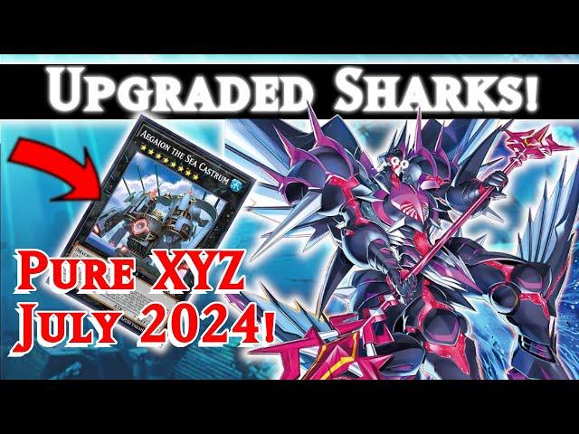 Competitive Water Sharks with NEW Horus Engine! (2024) - Yugioh MasterDuel Ranked Gameplay Decklist