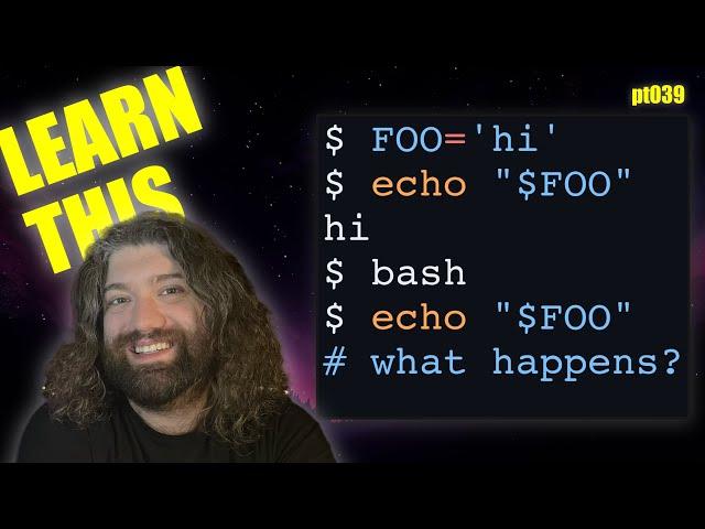 Environmental Variables Understood in Bash and Unix - You Suck at Programming #039