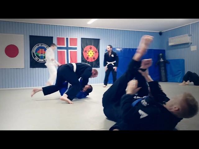 Arendal BJJ