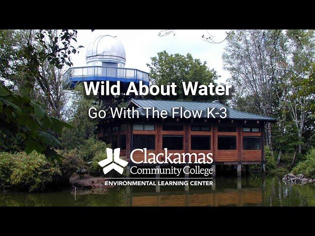 Wild About Water | Go With the Flow K-3